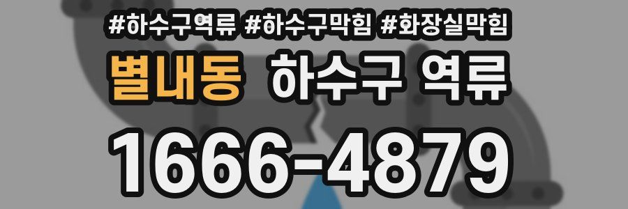 별내동 하수구 역류