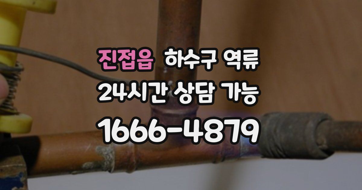 진접읍 하수구 역류