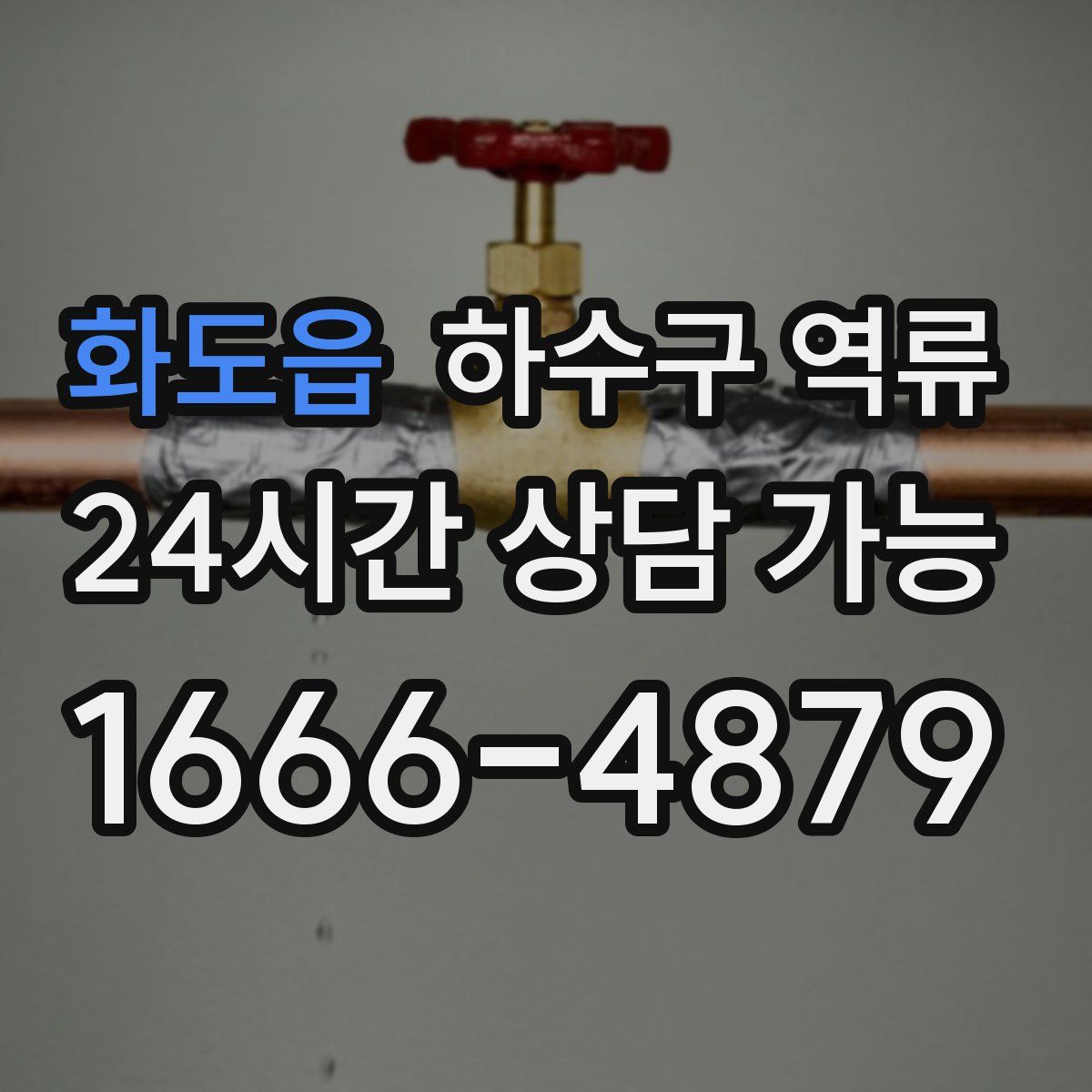 화도읍 하수구 역류