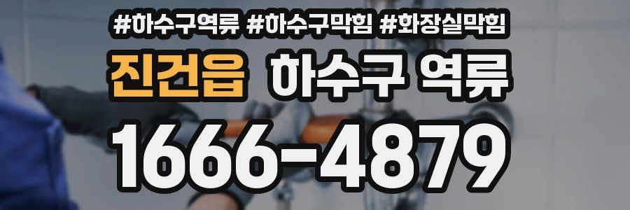 진건읍 하수구 역류