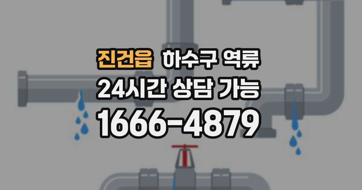 진건읍 하수구 역류