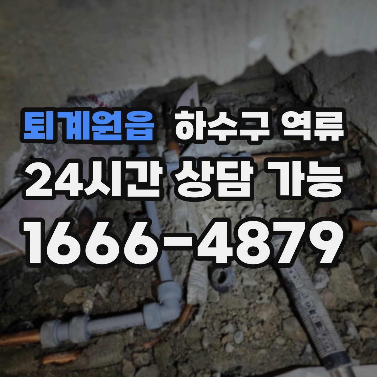 퇴계원읍 하수구 역류