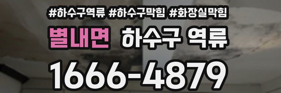 별내면 하수구 역류