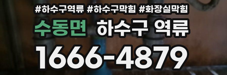 수동면 하수구 역류