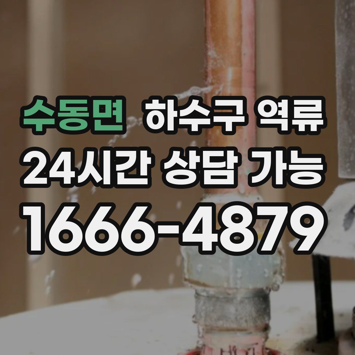 수동면 하수구 역류