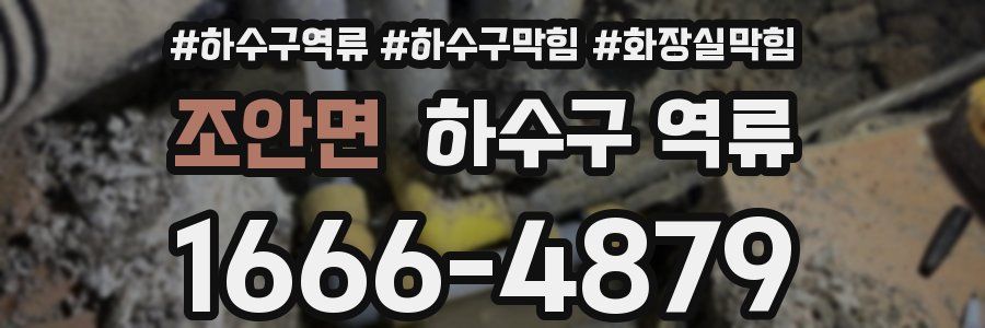 조안면 하수구 역류