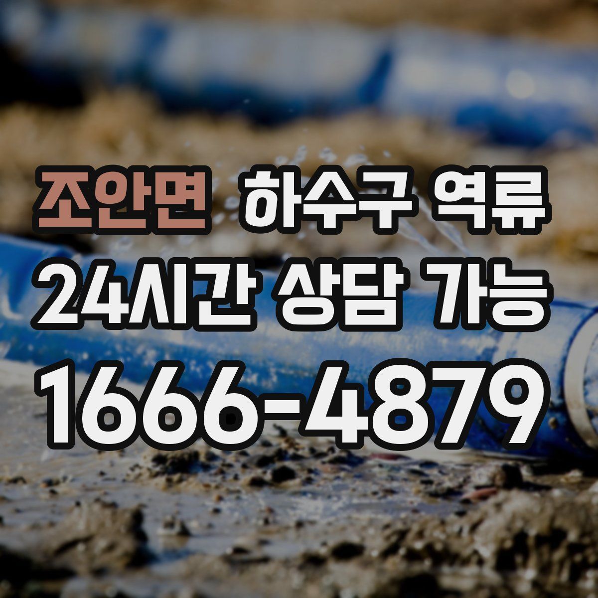 조안면 하수구 역류