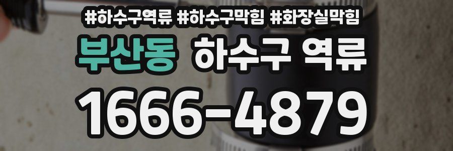 부산동 하수구 역류