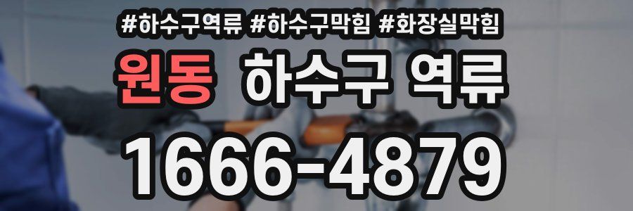 원동 하수구 역류