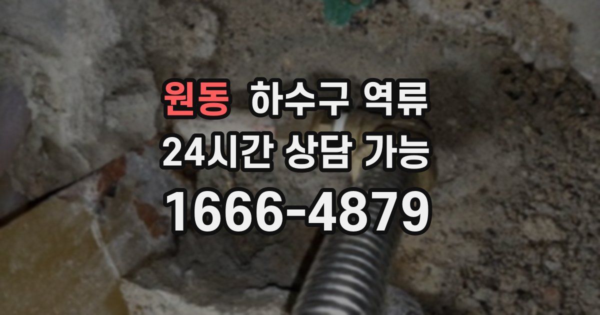 원동 하수구 역류