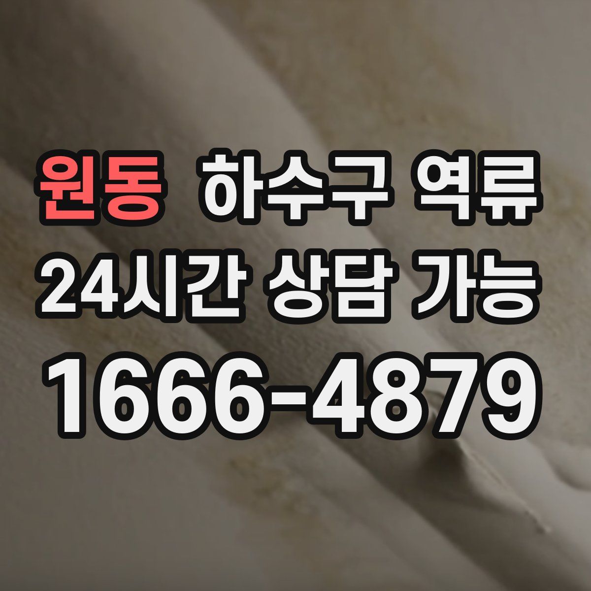 원동 하수구 역류