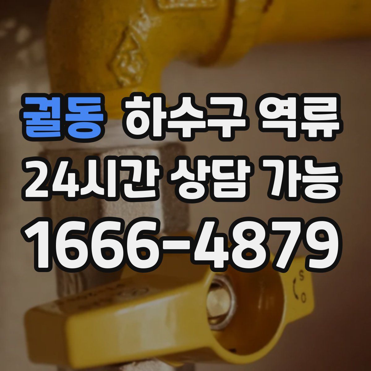 궐동 하수구 역류