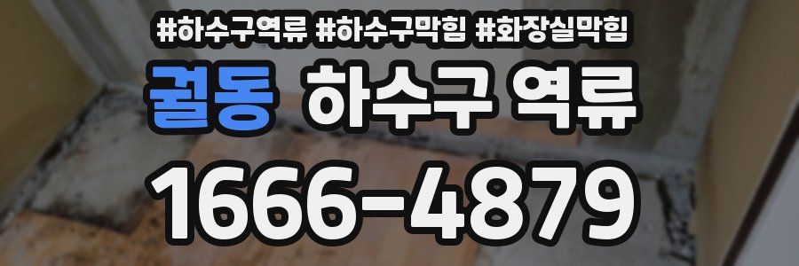 궐동 하수구 역류