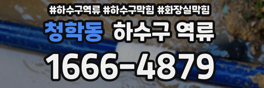 청학동 하수구 역류