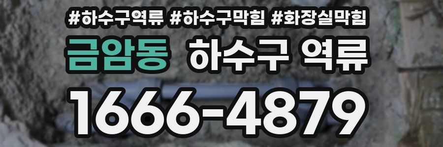 금암동 하수구 역류
