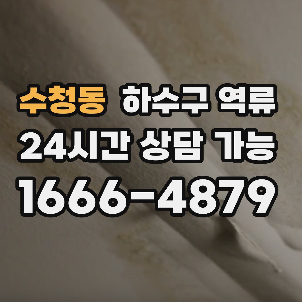 수청동 하수구 역류