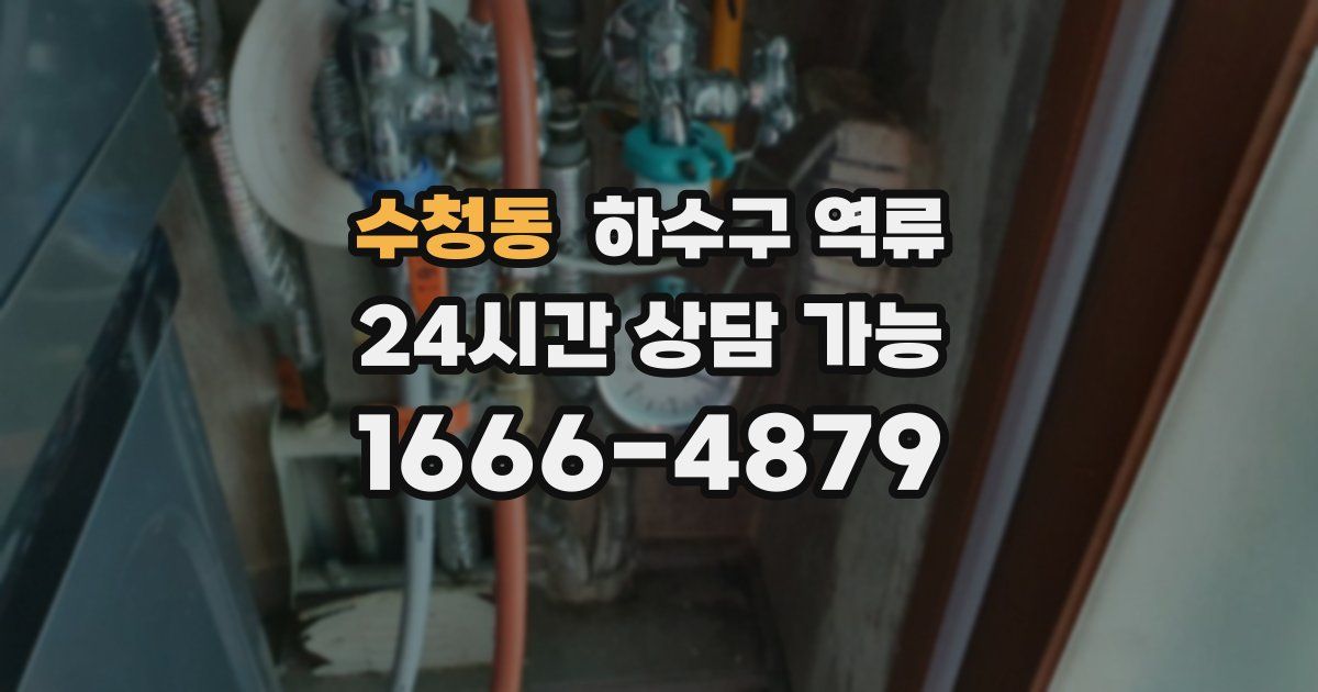 수청동 하수구 역류