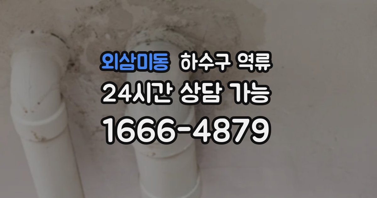 외삼미동 하수구 역류