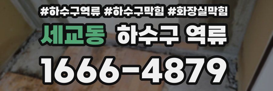 세교동 하수구 역류