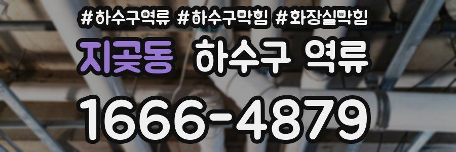 지곶동 하수구 역류