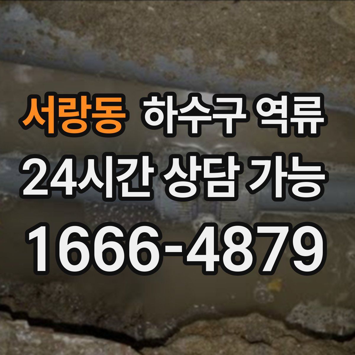 서랑동 하수구 역류