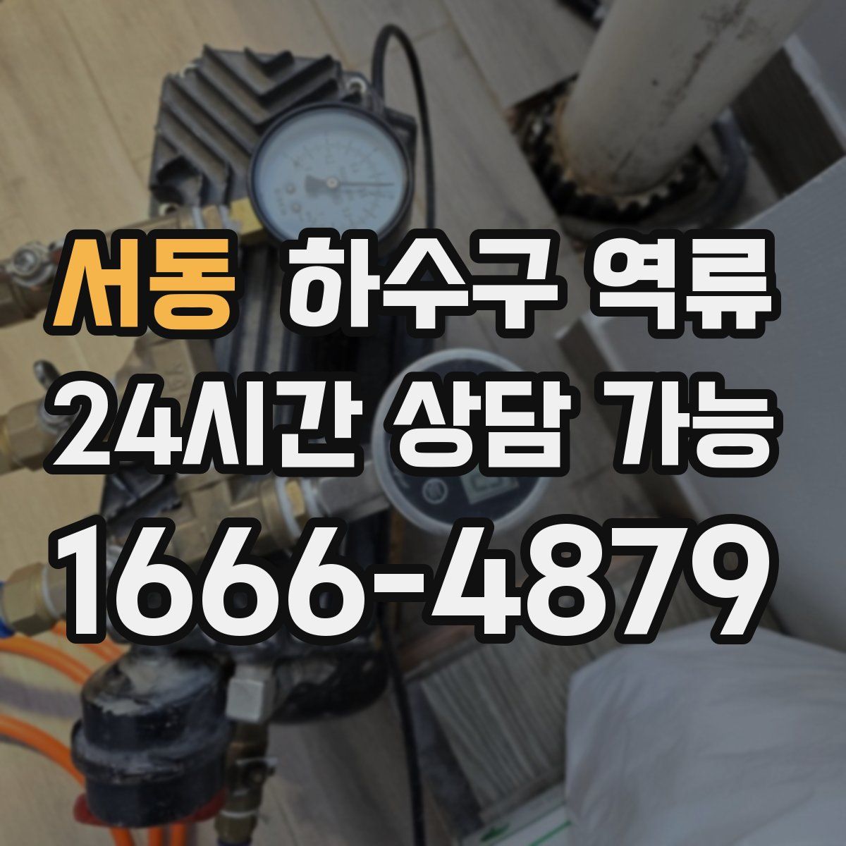 서동 하수구 역류