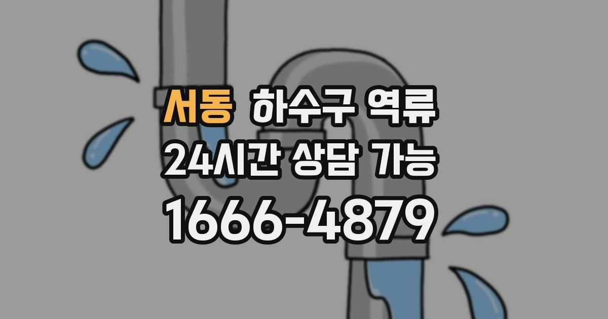 서동 하수구 역류