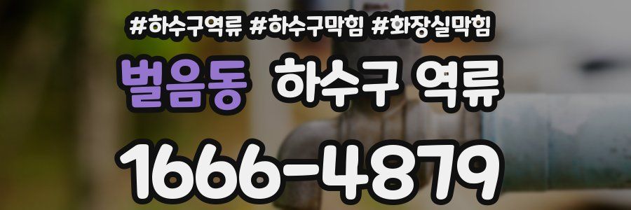 벌음동 하수구 역류