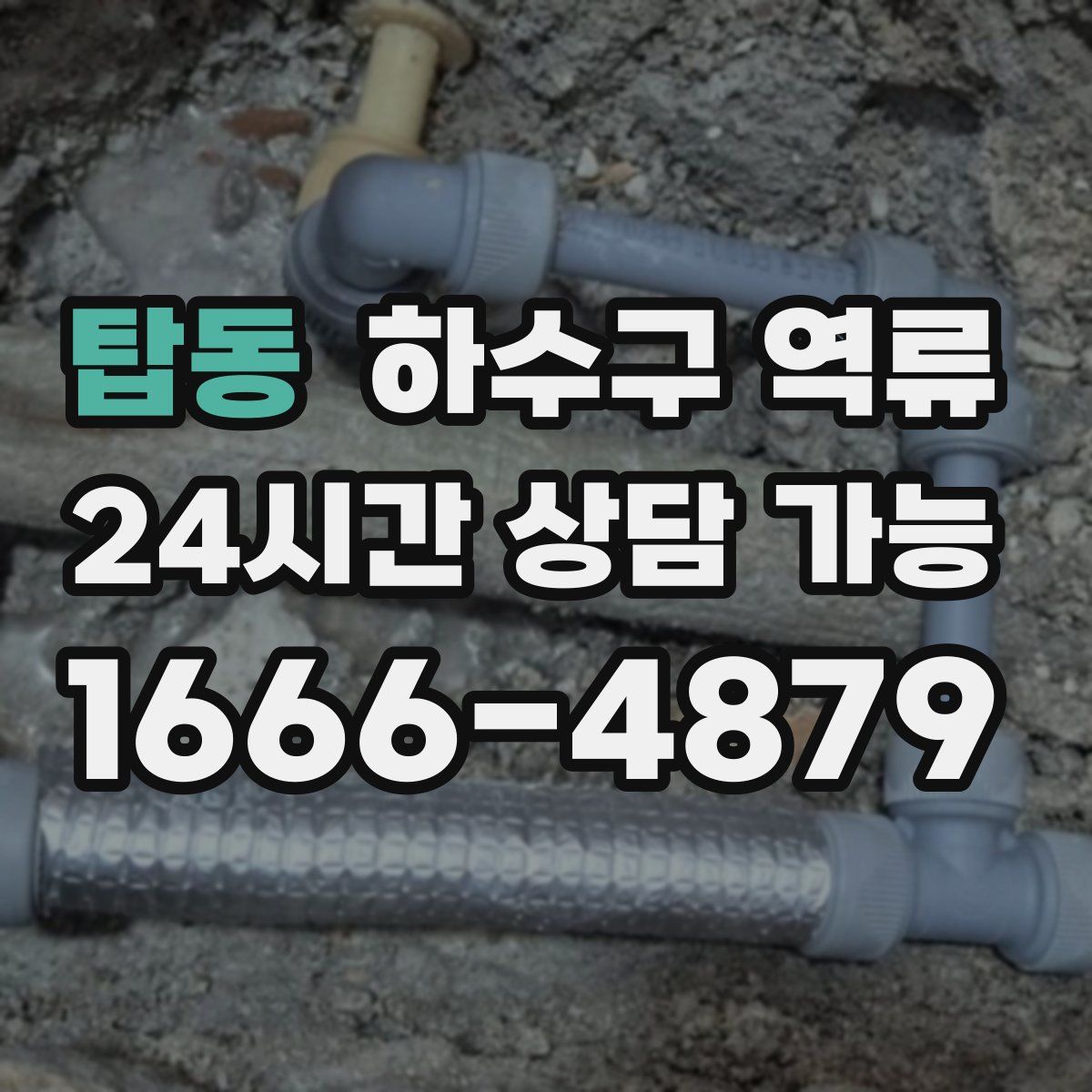 탑동 하수구 역류