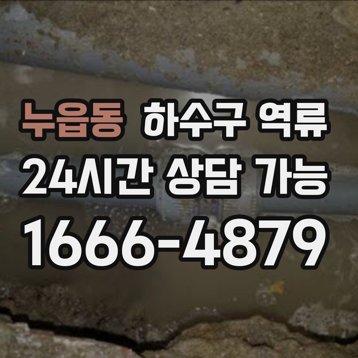 누읍동 하수구 역류