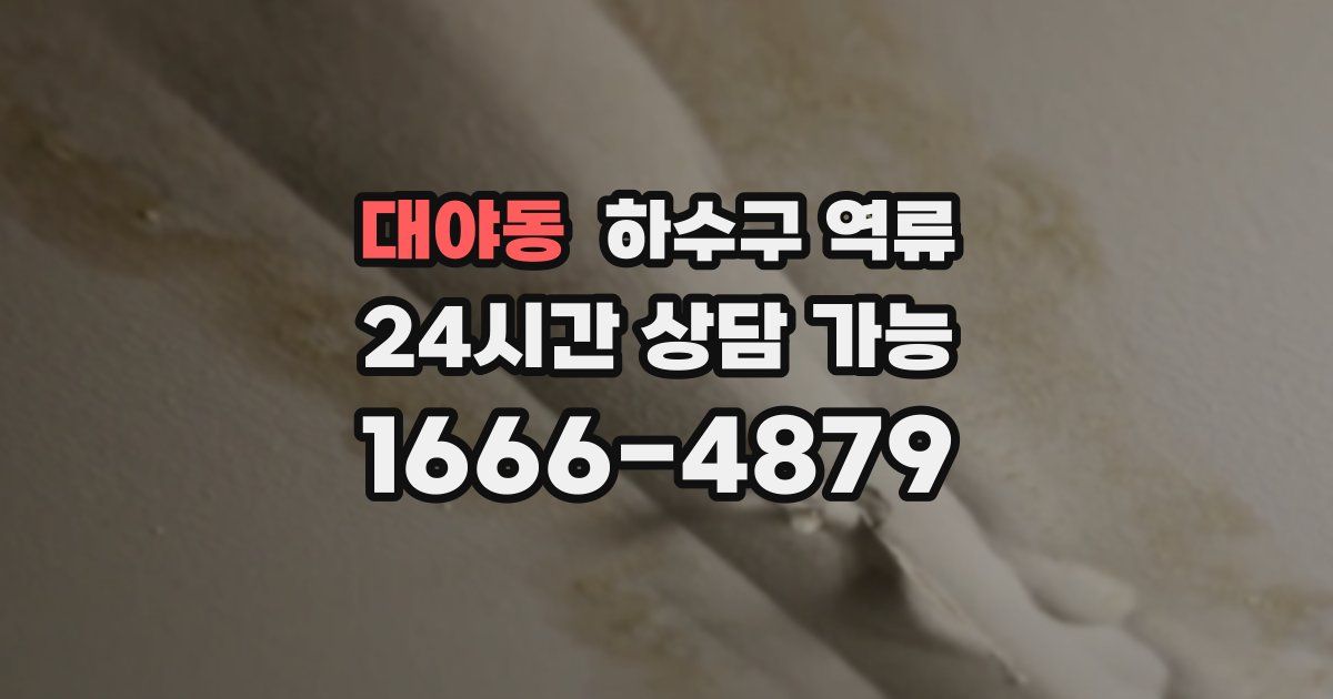 대야동 하수구 역류