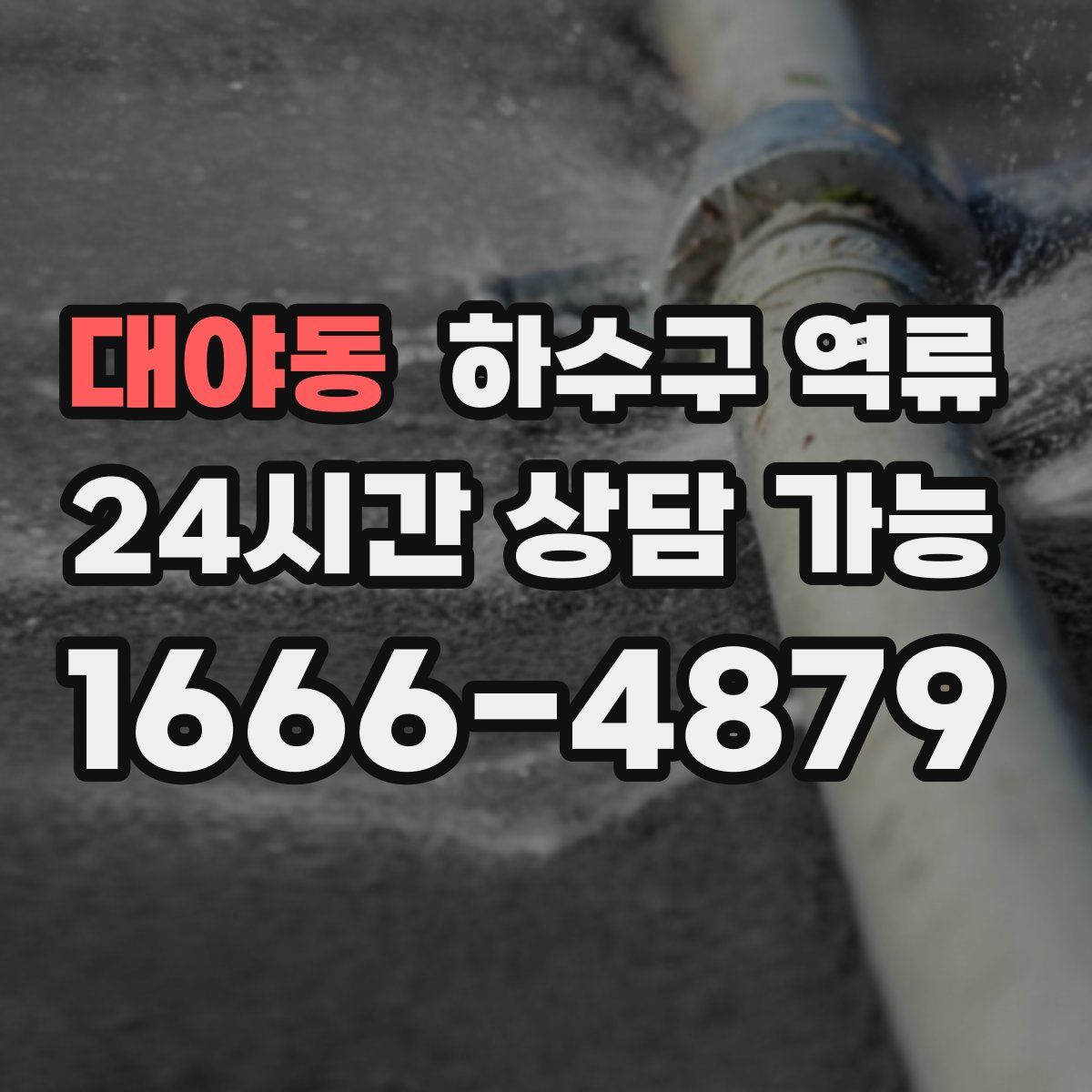 대야동 하수구 역류