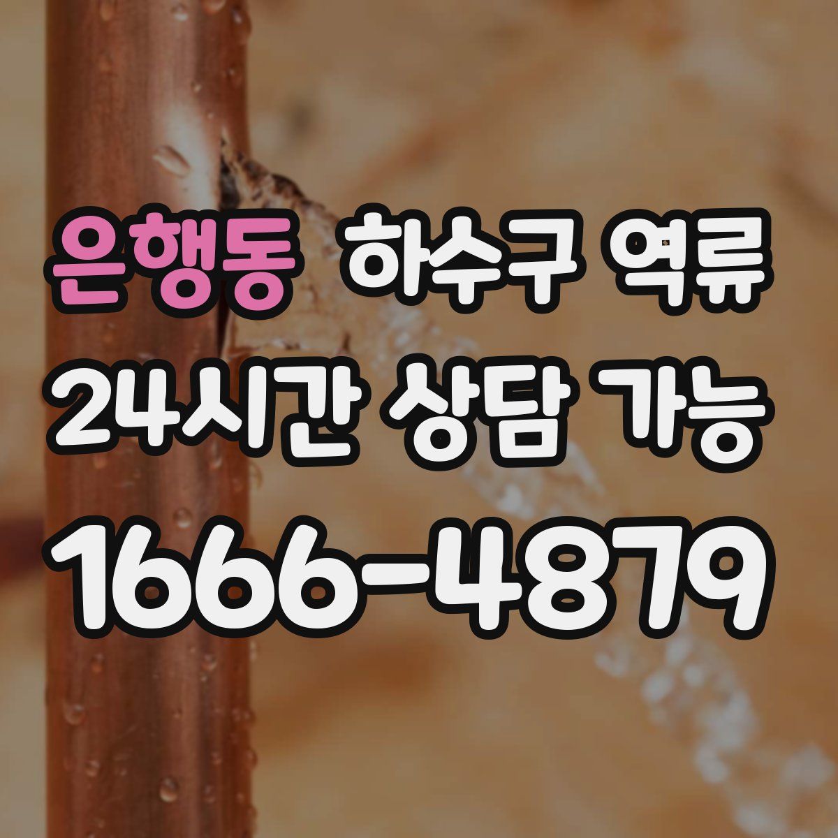 은행동 하수구 역류