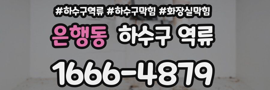 은행동 하수구 역류