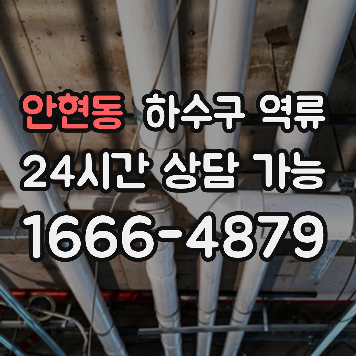 안현동 하수구 역류