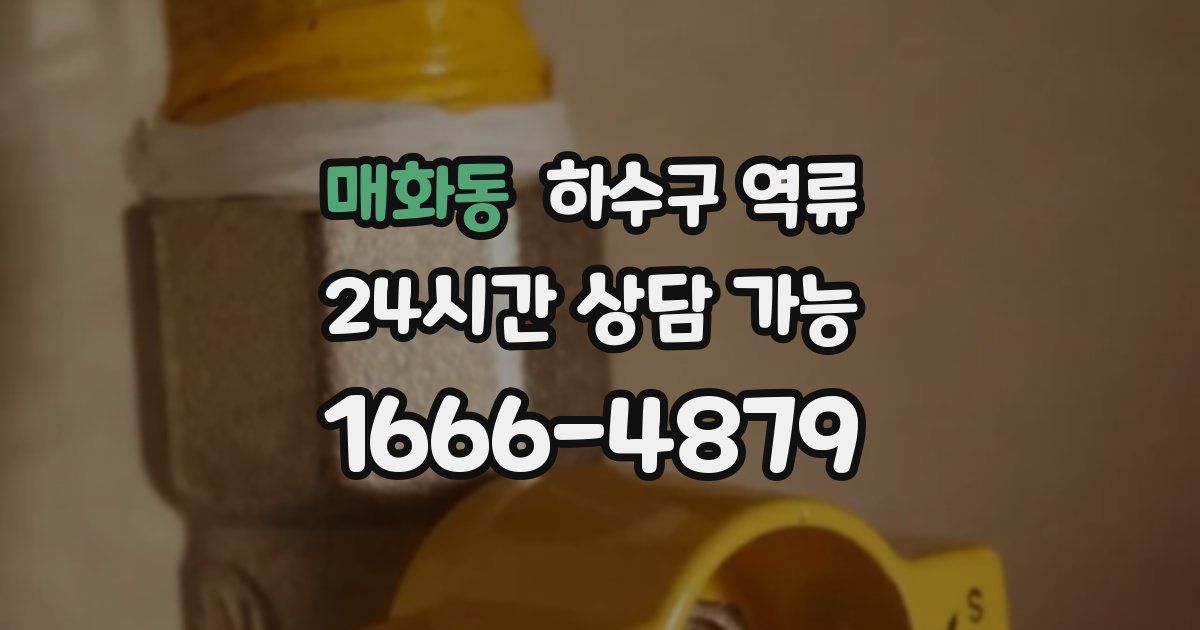 매화동 하수구 역류