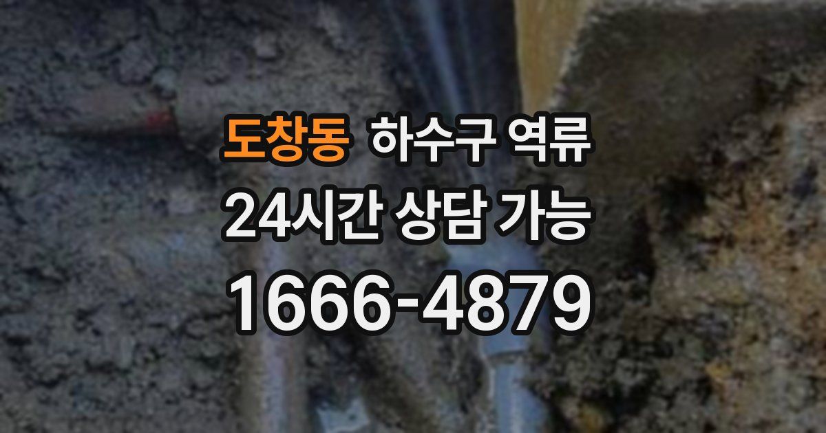 도창동 하수구 역류