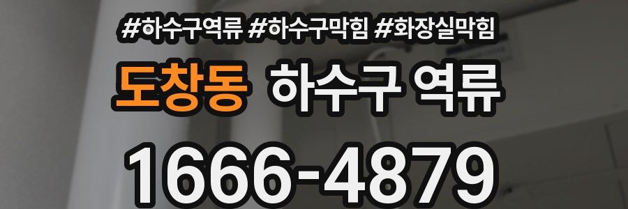 도창동 하수구 역류