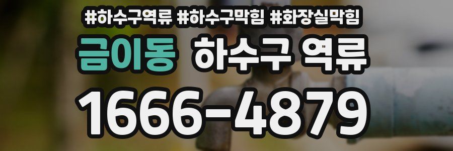 금이동 하수구 역류