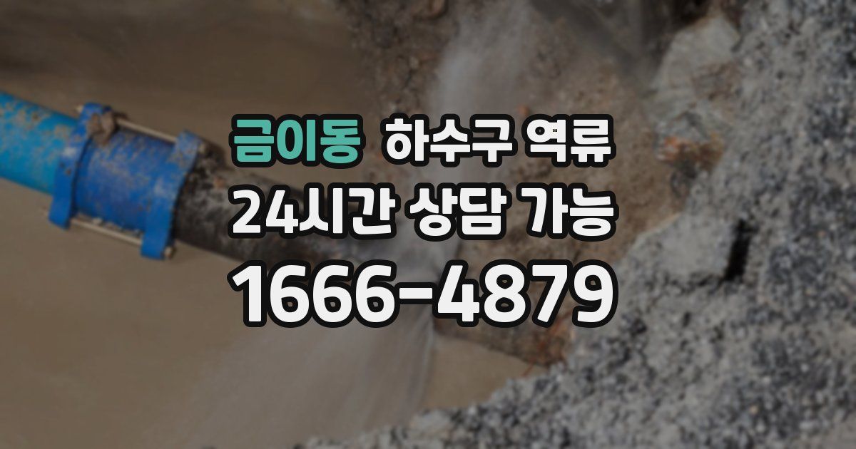 금이동 하수구 역류