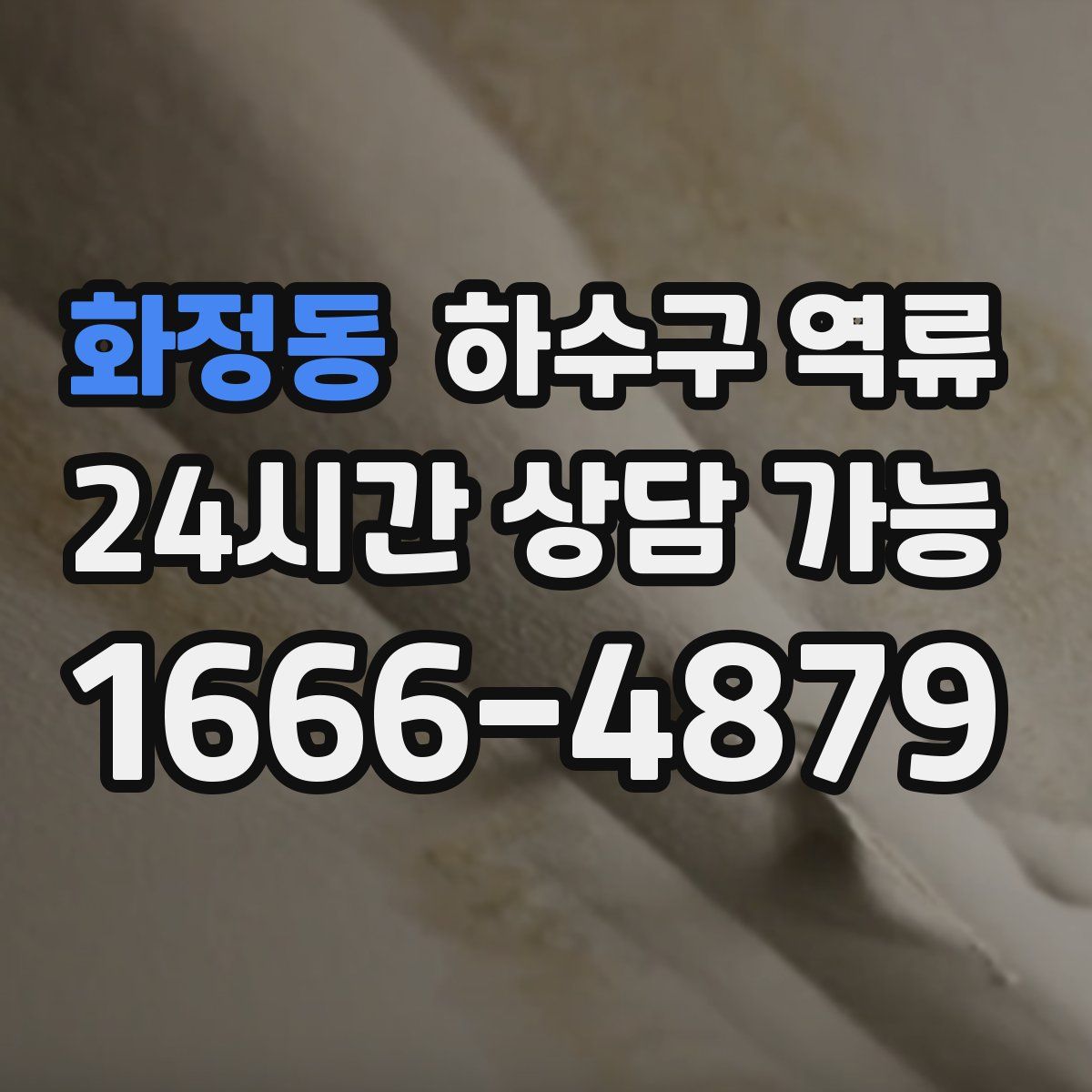 화정동 하수구 역류