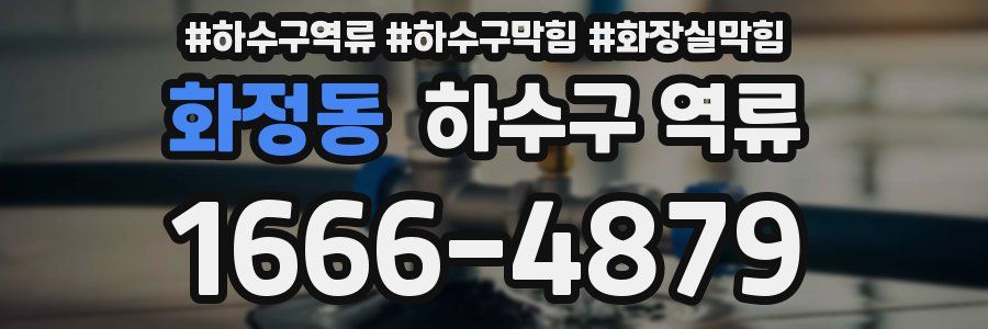 화정동 하수구 역류