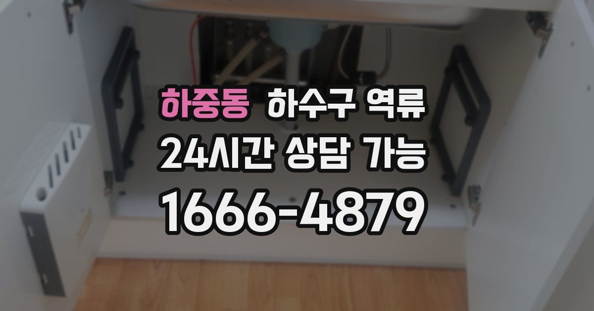 하중동 하수구 역류