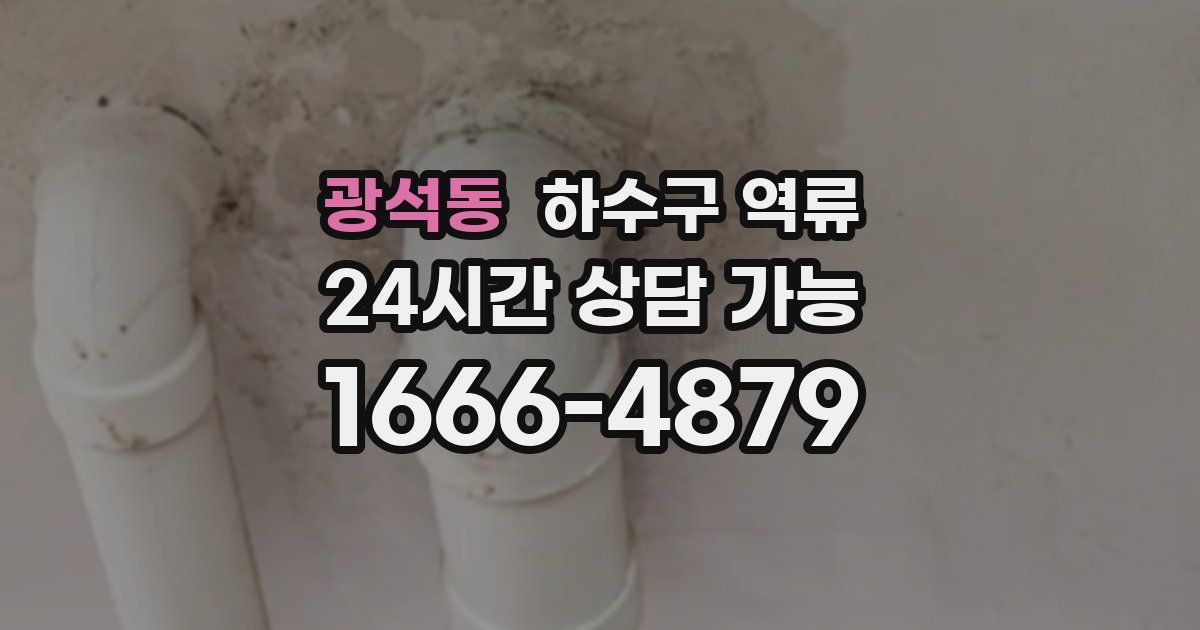 광석동 하수구 역류