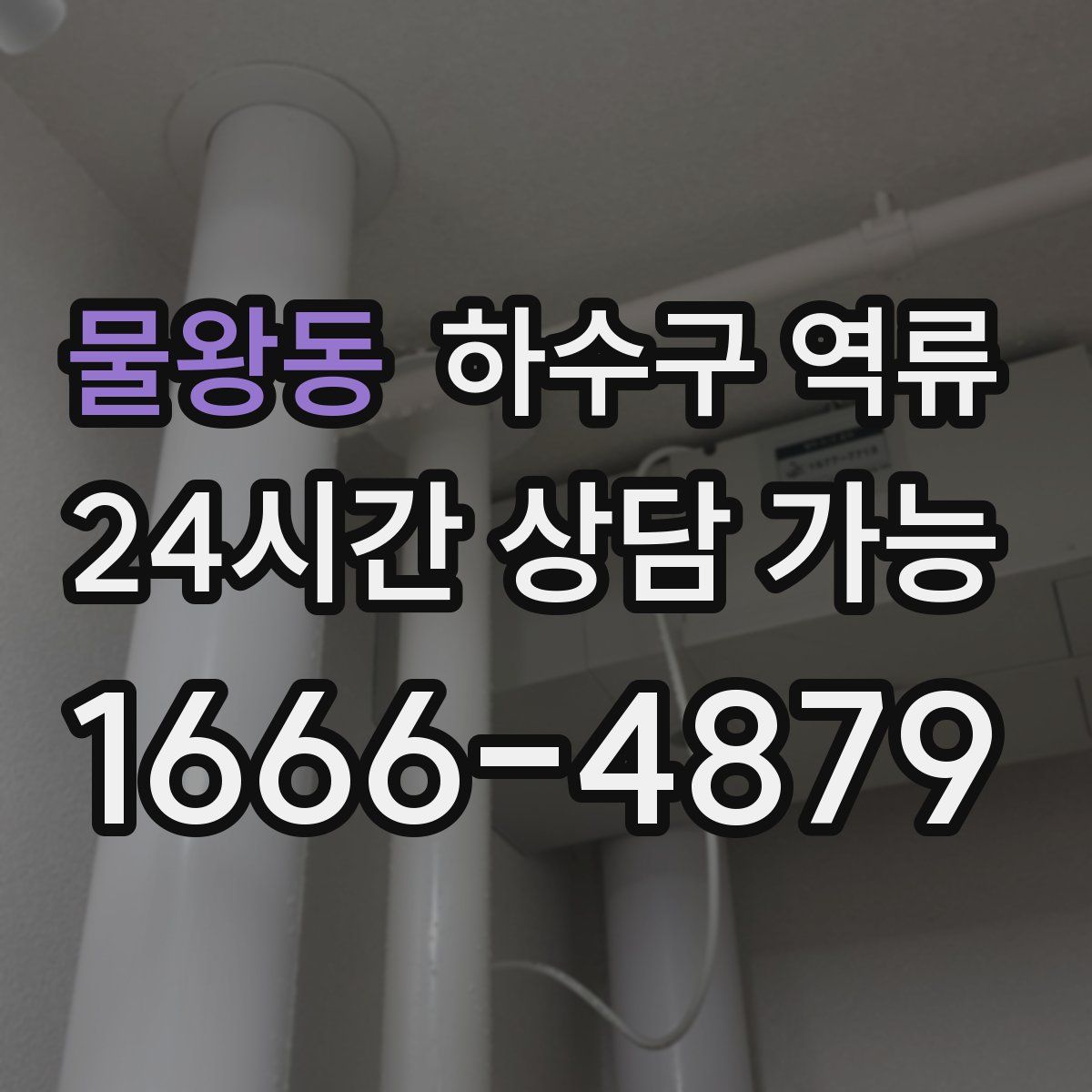물왕동 하수구 역류