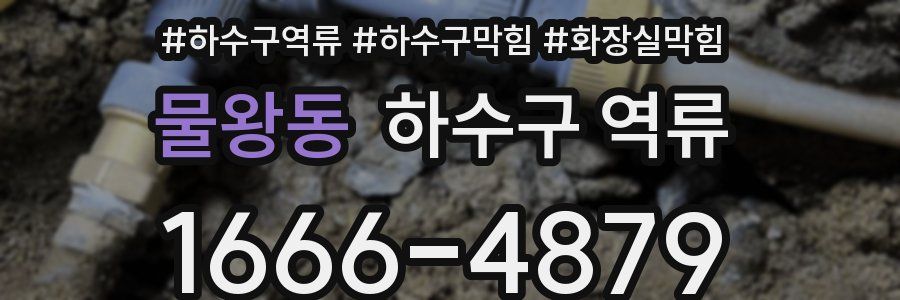 물왕동 하수구 역류