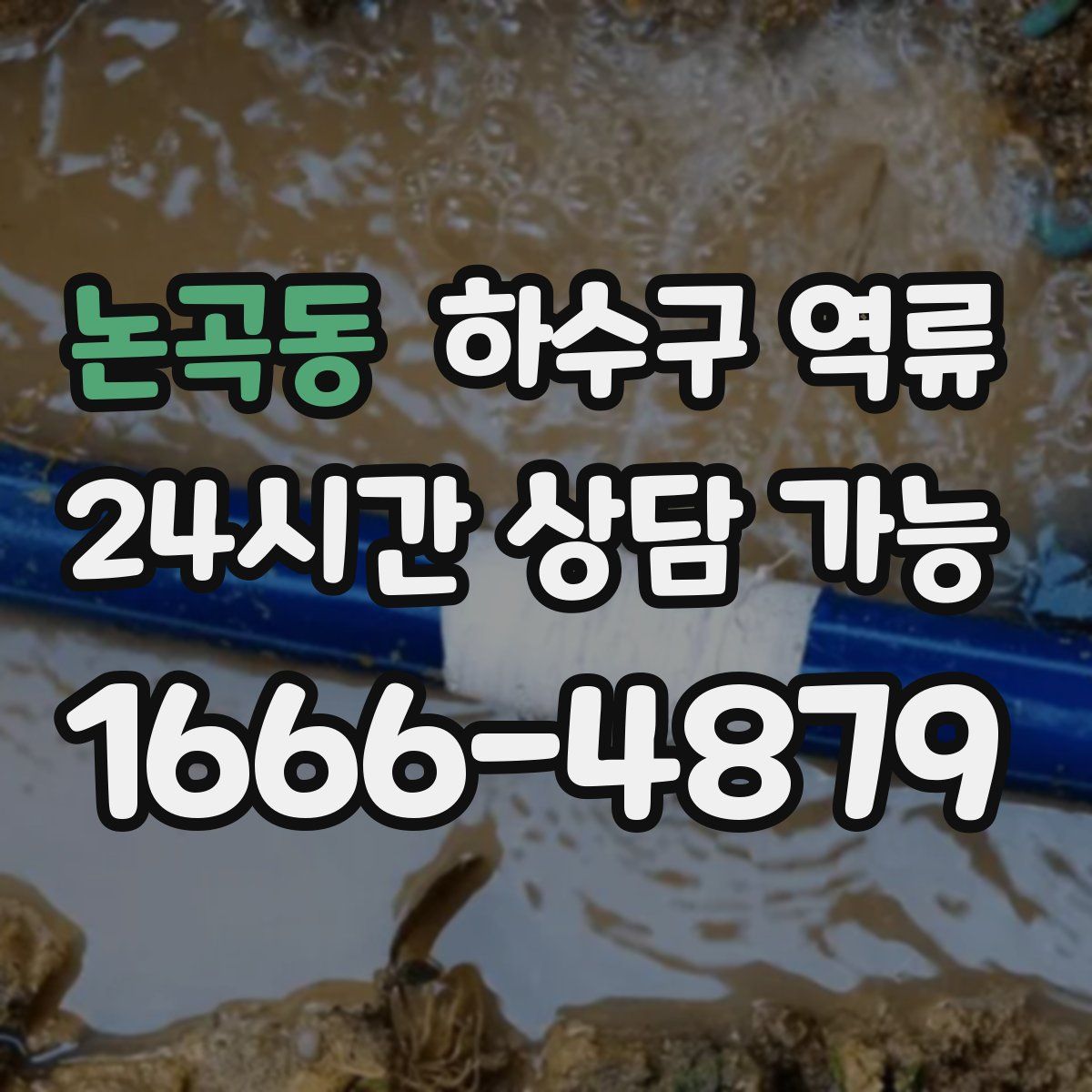 논곡동 하수구 역류