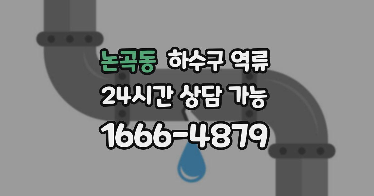 논곡동 하수구 역류