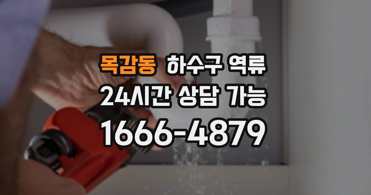 목감동 하수구 역류