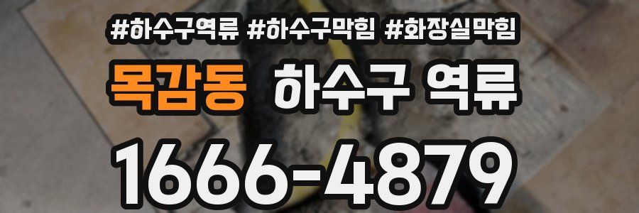 목감동 하수구 역류